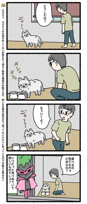 悪の秘密結社ネコ その77 #悪の秘密結社ネコ 