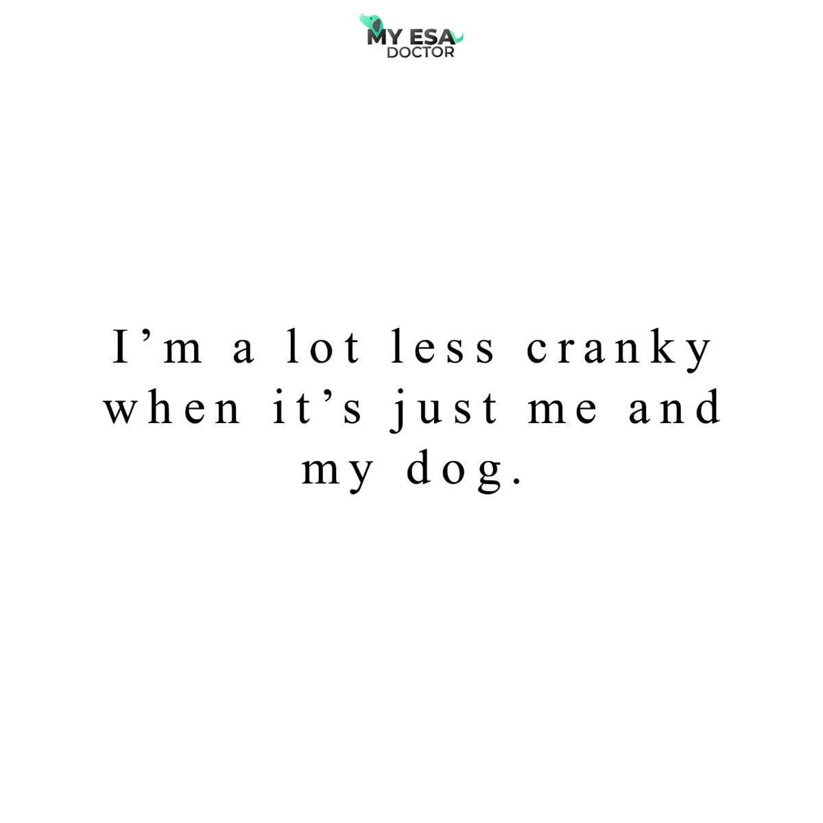 Well, that's true for me. What about you?

#ESAletter #emotionalsupportdog #emotinalsupportcat #educational #myesadoctor #furrendsupclose #catsygram #dogowner #dog_feature #magnificent_meowdels #my_loving_pet #my_pet_feature #doggos #petoftoday #puppers #igmeows #meowvswoof #vamp