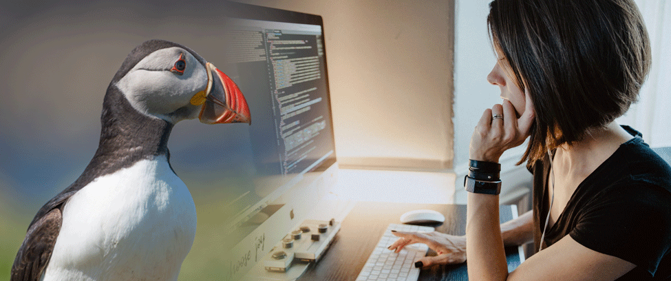 🔴Job opportunity: Put your code superpowers to the test: <a href="/museumnaturalis/">Naturalis Biodiversity Center</a> is looking for a lead #programmer for the development of <a href="/DiSSCoEU/">DiSSCo</a> pilots. Deadline EXTENDED to May 9. More info here: naturalis.nl/en/about-us/le… <a href="/eurotaxonomy/">CETAF</a> <a href="/SynthesysEU/">SYNTHESYS</a> <a href="/MobiliseAction/">MOBILISE</a> @Naturalis_Sci