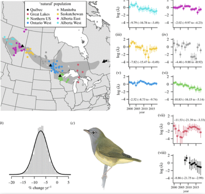 CT Warbler is one of those species with enigmatic declines. Check out our new paper (@royalsociety) led by @MTHallworth and a large team of collaborators @Tremblay_Jun that demonstrates the problem may be in our own backyard #troubleonthebreedinggrounds royalsocietypublishing.org/eprint/MS84ESQ…