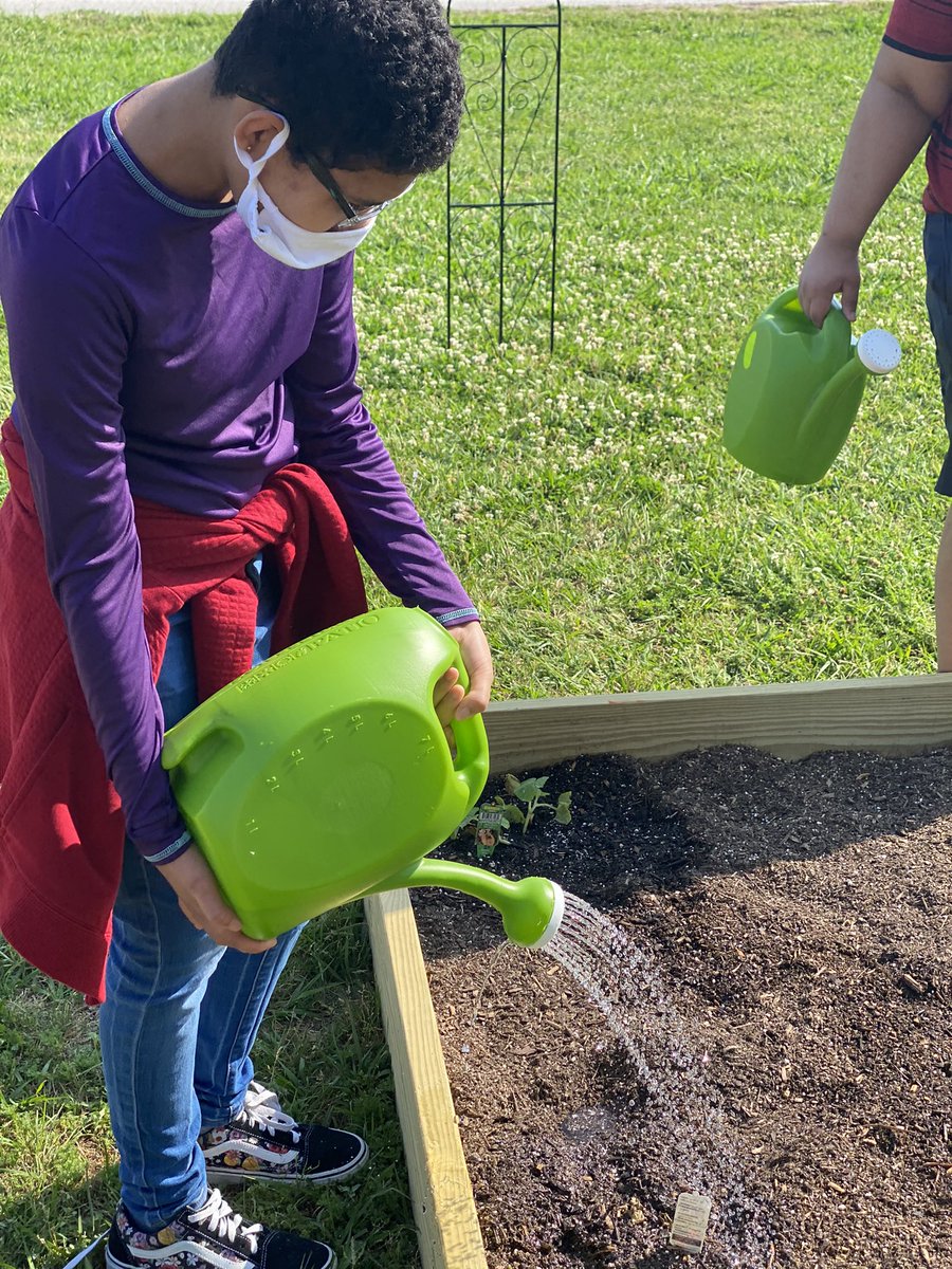 Terry Pals tweet media