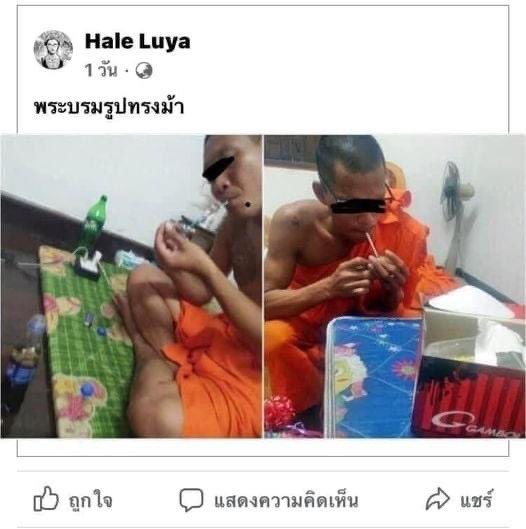 ✴︎ tweet media