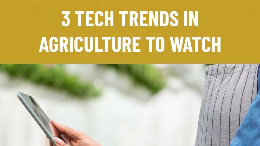 #Blockchain, mobile apps, and #hemp are a few of the biggest trends in #agriculture. 

Read our latest article to learn more: producersmarket.com/blog/7-agricul… 

#sustainable #regenerative #producersmarket #traceability #producersstories #agriculturetrends #agtech