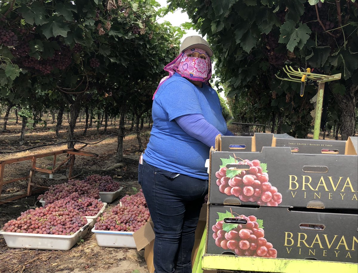 In October, I went to Cali's San Joaquin Valley as it surged with COVID. Many people impacted by the virus were immigrants who worked at farms & in meat plants. They felt their work was of value to society but not their lives. Low wages, no protection & blatant discrimination.