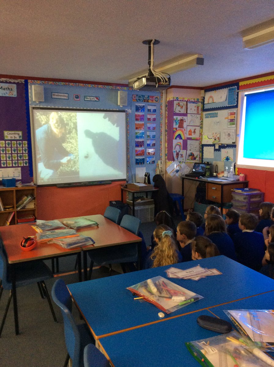 MrBryce20's tweet photo. Primary 3 have been learning about unusual jobs this week as part of WOW Week! Our favourite jobs were Jellyfish Whisperers and Dung Detectives!! 😁💩 #WOWWeekDanestone #DYW @DanestoneP https://t.co/W61ua2031F