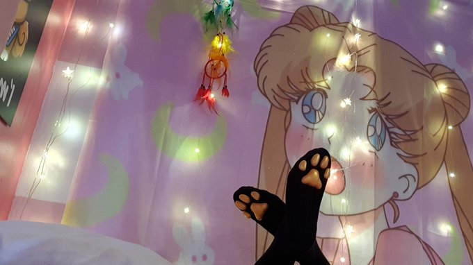 3 pic. Got my ToeBeanies!!! Thank you @ToeBeanies_   ?? #catboi #femboy #thighhigh https://t.co/yXFE