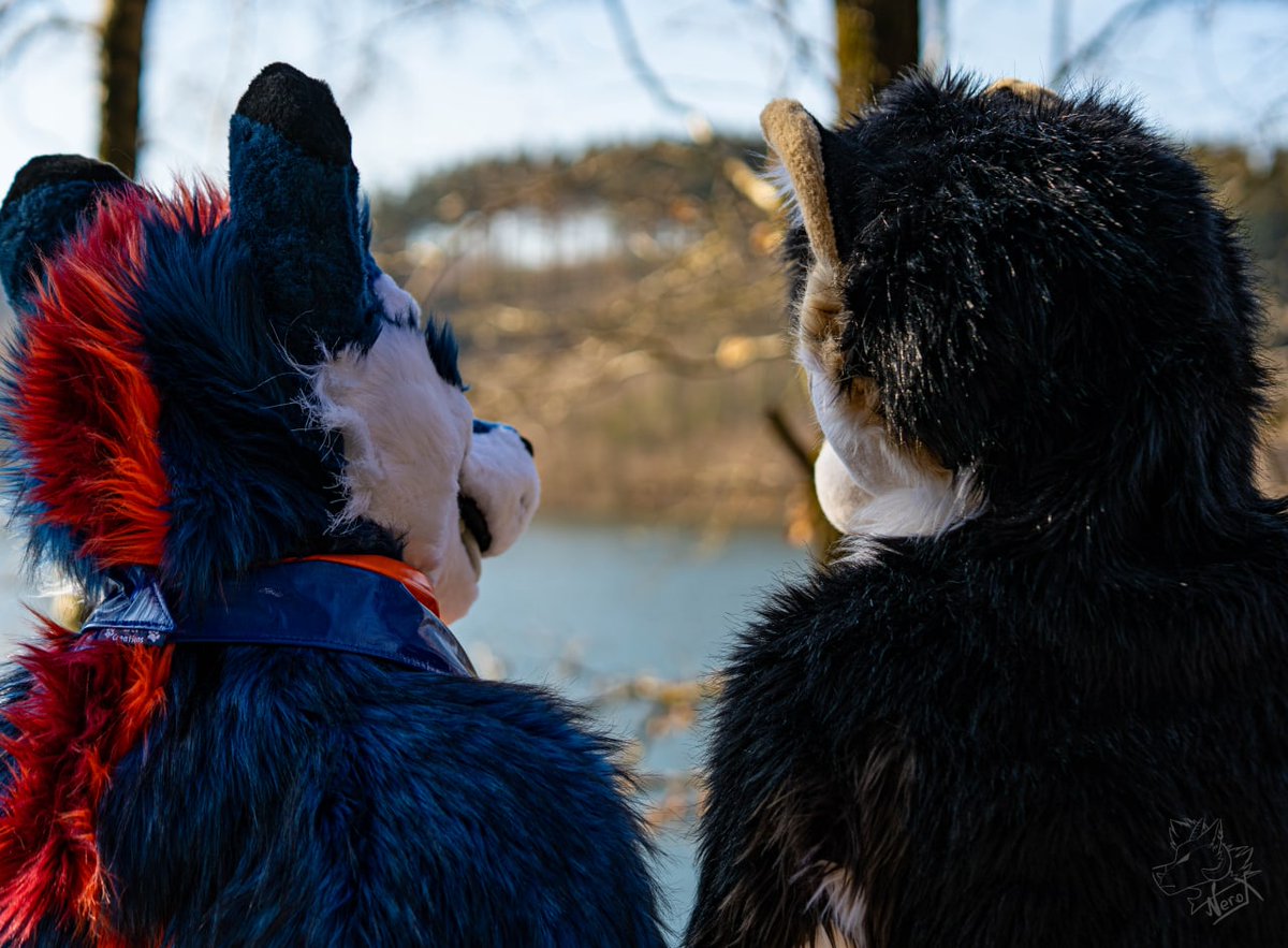 Look there <a href="/Tawiwolf/">Tawi</a>, summer is comming ^^
Happy #WaggeryWednesday everyone

👔 <a href="/WaggeryCos/">Waggery Costumes</a>
📷 <a href="/fur_nerox/">Nerox</a>