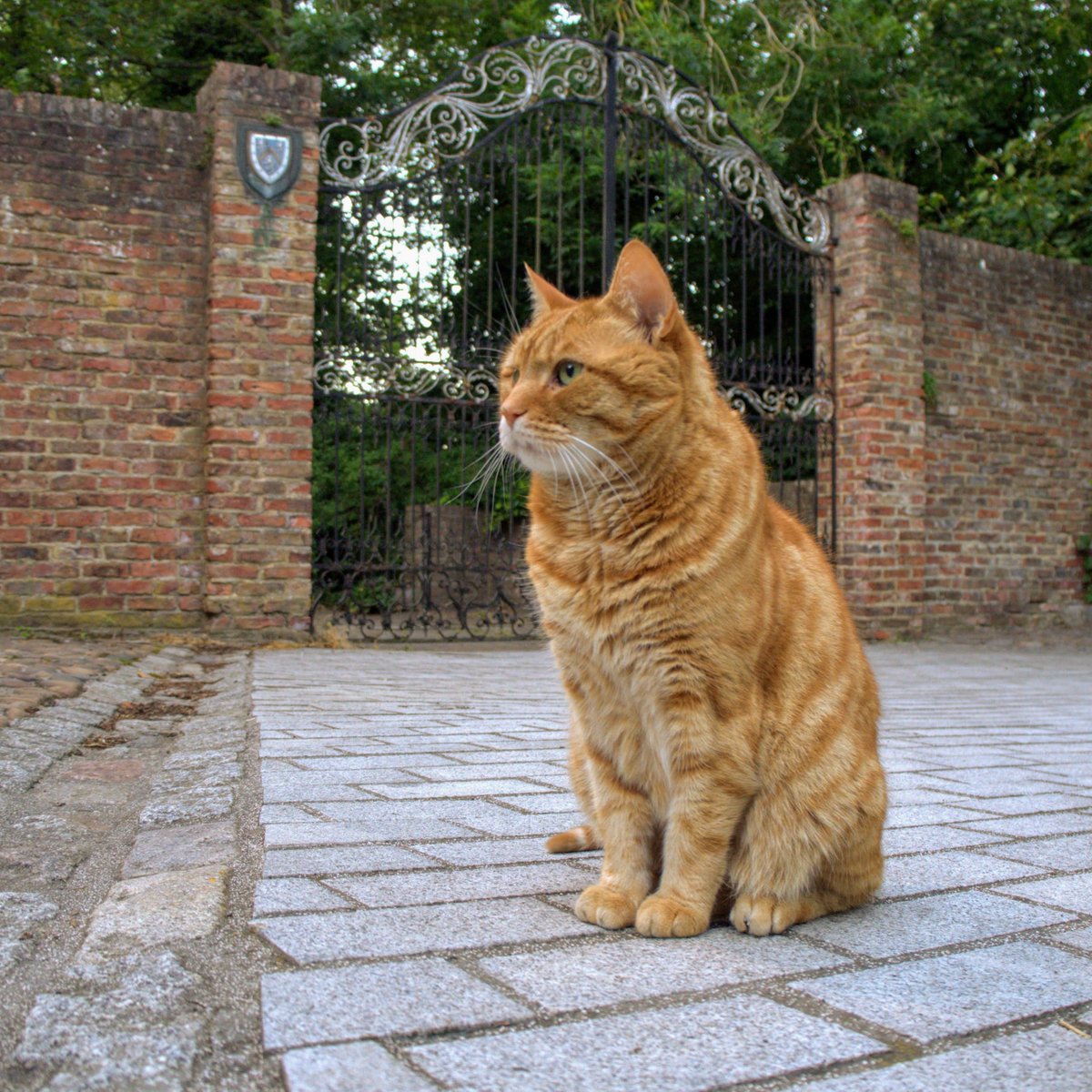 My heartfelt thanks to all those who have enjoyed his company, especially his friends in Durham Cathedral, Hatfield College and all stops along the Bailey  @HatfieldCollege  @durham_uni  @durhamcathedral  @DCathCat 3/4