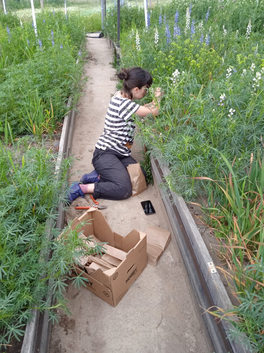 Christian Schöb tweet media