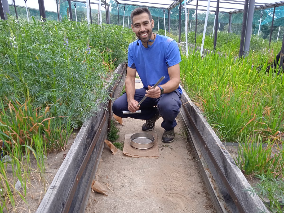 Christian Schöb tweet media