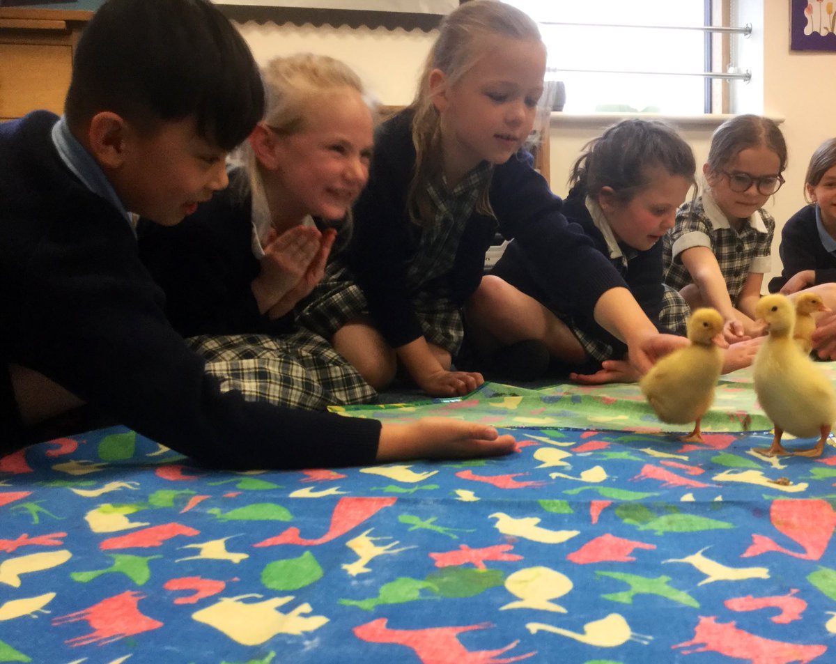 Upton House Form 2 tweet media