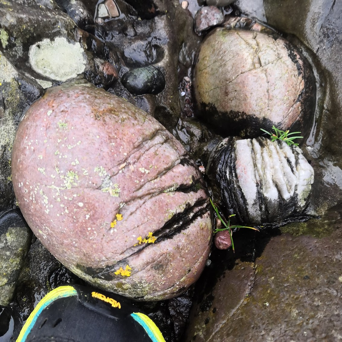 I need field assistants (May 10th - June 10th, 2021)! Any Scottish-based geology post-grads looking for fieldwork experience? I need lots of help sampling clasts and their fractures.  Here are pretty photos of my site (Stonehaven) to grab interest. <a href="/FafFclyde/">FAFFclyde</a> <a href="/UniStrathclyde/">University of Strathclyde</a>