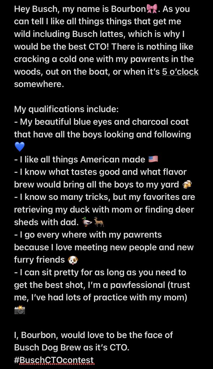 Percymariee's tweet image. I, Bourbon, would love to be the face of Busch Dog Brew as it’s CTO. #BuschCTOcontest #RetweeetPlease
