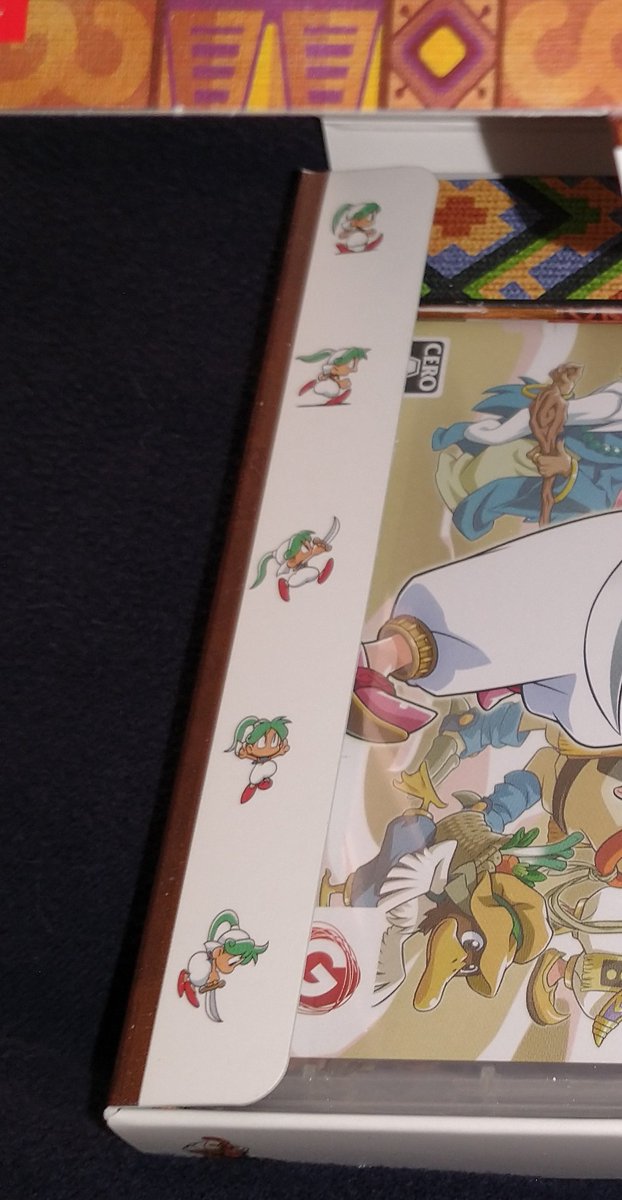 The Japanese box set for Wonder Boy: Asha in Monster World is out, and I can confirm that the side flaps have little Ashas on them. This is highly pertinent.
