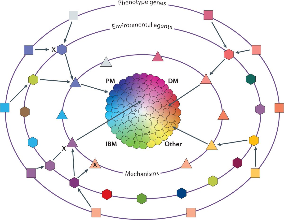 NatRevRheumatol's tweet image. #MayIssue | Approaches to divide #myositis into mutually exclusive and stable phenotypes are being considered, but are we thinking comprehensively enough in our attempts at #classification? Find out more in our #NewAndViews article 

go.nature.com/2R3qwwP