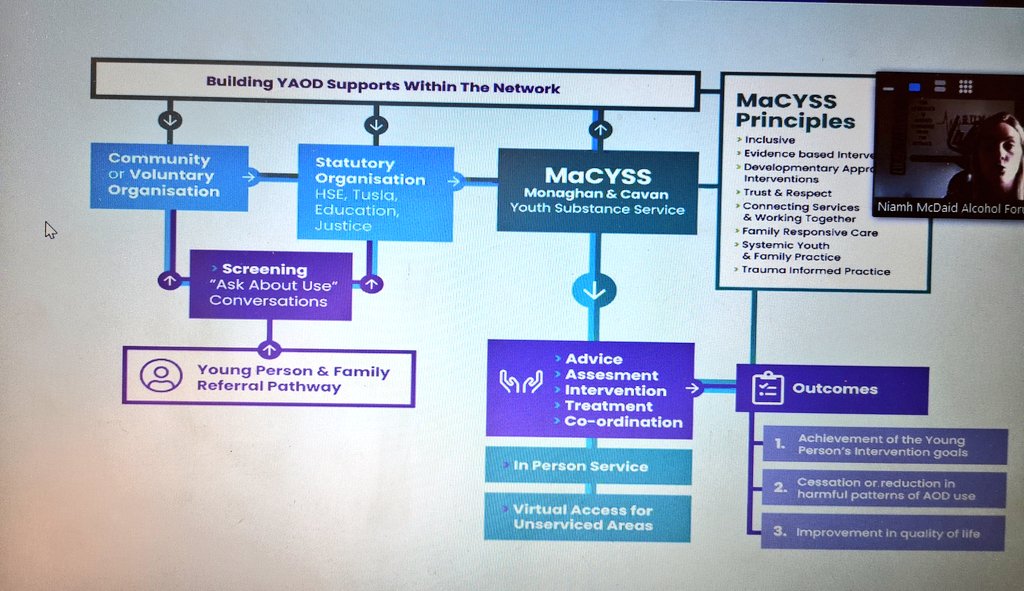 drugsdotie's tweet photo. Excellent presentations at today's NDS Learning Communities Webinar on 'Young people affected by substance use', with a focus on Cavan/Monaghan and Kerry. Great insight and group discussion on evidence based responses for young people

#ReducingHarm #SupportingRecovery https://t.co/JIOC2xCusH