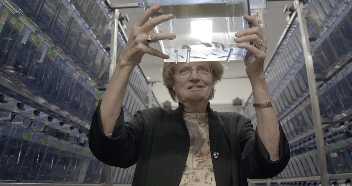 Earlham College (@earlham1847) on Twitter photo Have you watched <a href="/PictureaSciFilm/">Picture a Scientist</a>? Join us for a virtual screening and panel discussion about this provocative film portraying discrimination toward women in science.
Register now! ➡️ bit.ly/3xrzHb7 Have you watched <a href="/PictureaSciFilm/">Picture a Scientist</a>? Join us for a virtual screening and panel discussion about this provocative film portraying discrimination toward women in science.
Register now! ➡️ bit.ly/3xrzHb7