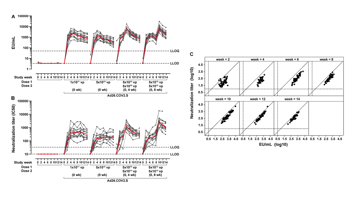 Journal of Experimental Medicine (@jexpmed) on Twitter photo While single-dose #COVID19 vaccines are preferred, two-dose may improve efficacy. Solforosi, Kuipers, Zahn et al. <a href="/JanssenGlobal/">JNJInnovative Medicine</a> show that immunogenicity of Ad26.COV2.S is improved in nonhuman primates after a second dose. bit.ly/3nAD7DJ
#Infectiousdisease #hostdefense While single-dose #COVID19 vaccines are preferred, two-dose may improve efficacy. Solforosi, Kuipers, Zahn et al. <a href="/JanssenGlobal/">JNJInnovative Medicine</a> show that immunogenicity of Ad26.COV2.S is improved in nonhuman primates after a second dose. bit.ly/3nAD7DJ
#Infectiousdisease #hostdefense