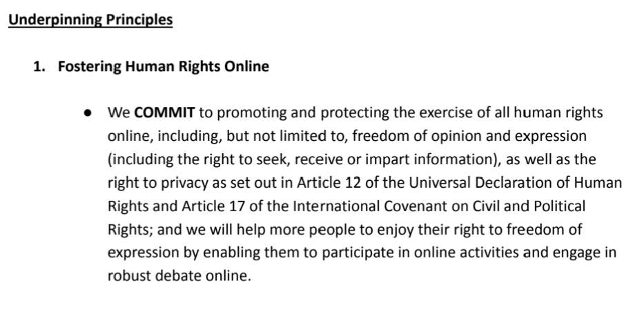 Fostering Human Rights Online form the first G7 Internet Safety Principle /2