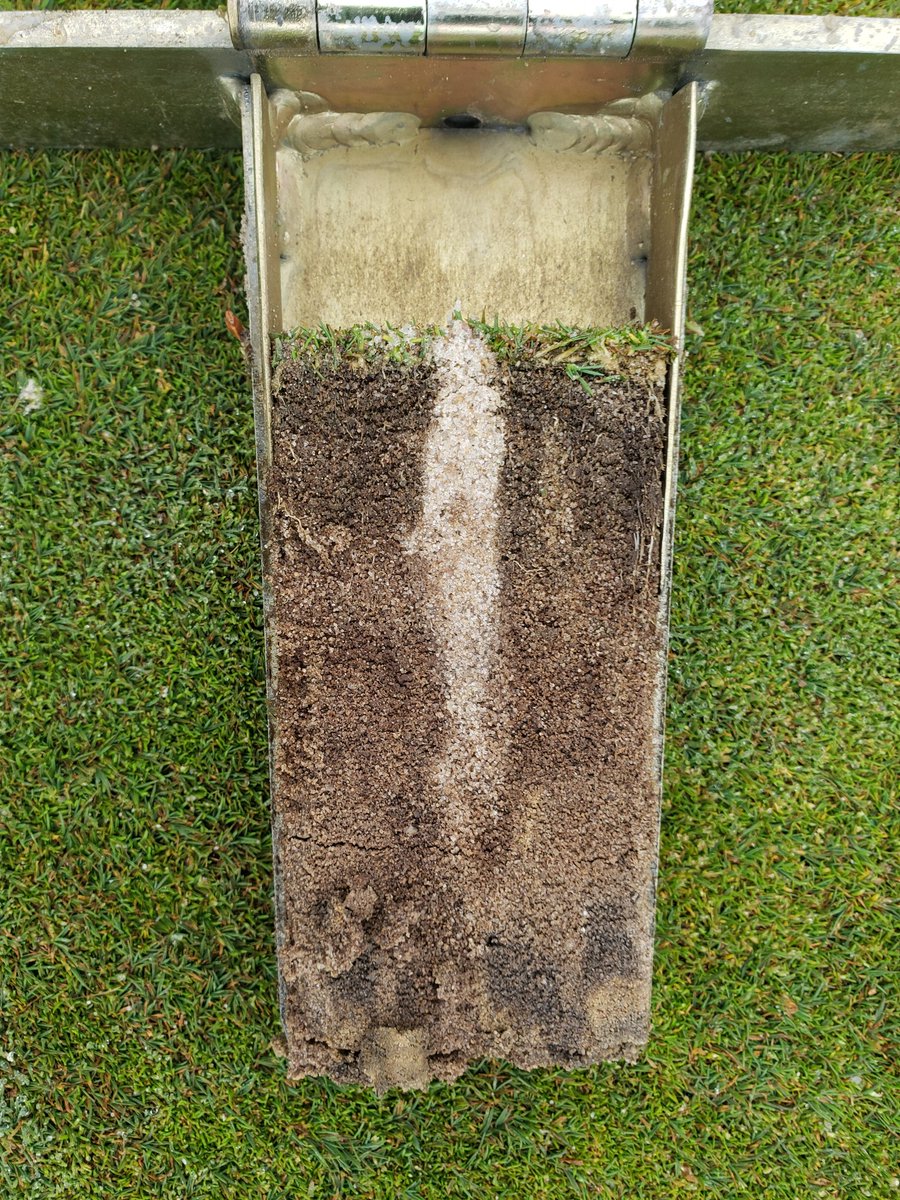 Craig Thompson, CGCS tweet media