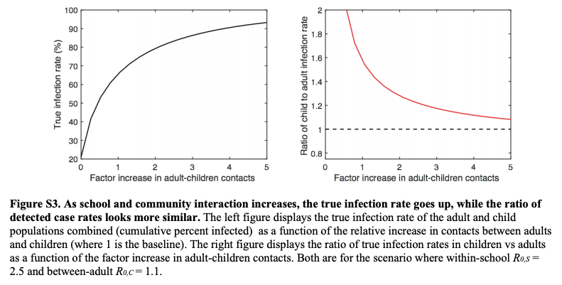 In a sensitivity analysis, increasing child-adult contacts increases the number of infections but that the symptom-gated testing makes it appear that school infection rates are lower than in the community, even when schools are driving transmission in the population.