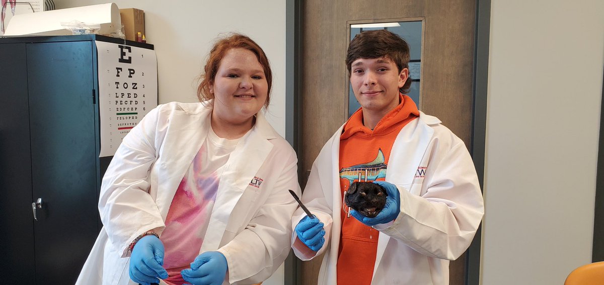 P4C Health Science tweet media