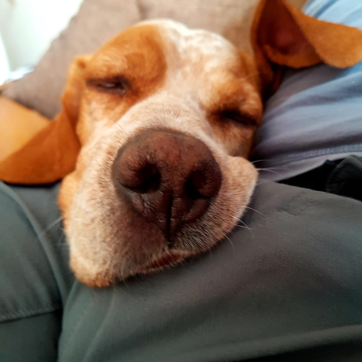 dieMRN's tweet photo. Ey. Ich fühl mich langzeitfreizeitlos - mit saisonalen Beschäftigungsunterbrechungen im Sommer20. Langsam verliere ich  den Glauben daran, dass nach der Pandemie - wann immer das sein soll - alle alle Kneipen und Clubs stürmen. Aus dieser Lethargie musste erstmal wieder raus. Ey. https://t.co/lbceRiXT2a