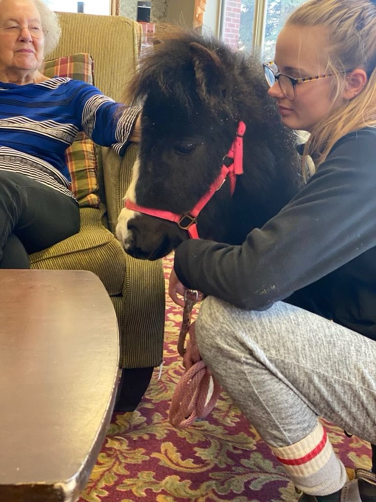 silverfoxequine's tweet photo. Today is "International Guide Dog Day" but we'd like to shine the light on Cassidy's guide pony, "Cooper!" They both go to old age homes (pre-covid of course!) for residents to spoil Cooper with lots of love. Go Cooper Go! π¦
#guidepony #guidehorse #internationalguidedogday https://t.co/rBtLAidsB3
