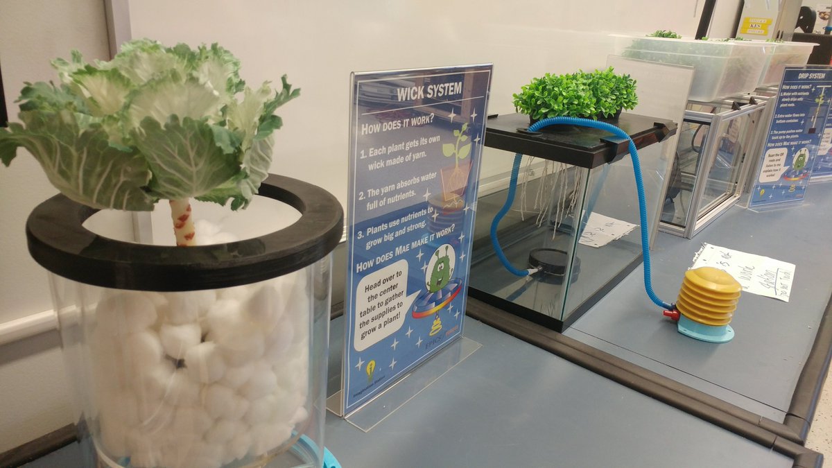 The <a href="/WRMEPICS/">EPICS WRM</a> hydroponics team delivered their educational hydroponics system to help provide hands-on learning and fun for children at <a href="/scienceforkids/">Imagination Station</a>.