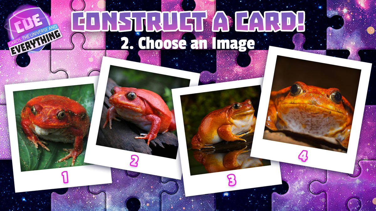 CUE_Cards's tweet photo. Construct a Card - Round 2. 🙌2⃣

Time to choose your image! ⏲️👇

Which froggy friend will be our winner? 🐸🤔

#TomatoFrog #CueCards #ConstructACard #animaloftheday #wildlife #nature #card #collection #create #art #TCG #tradingcards #tcgplayer #community https://t.co/AiI8wpOOUs