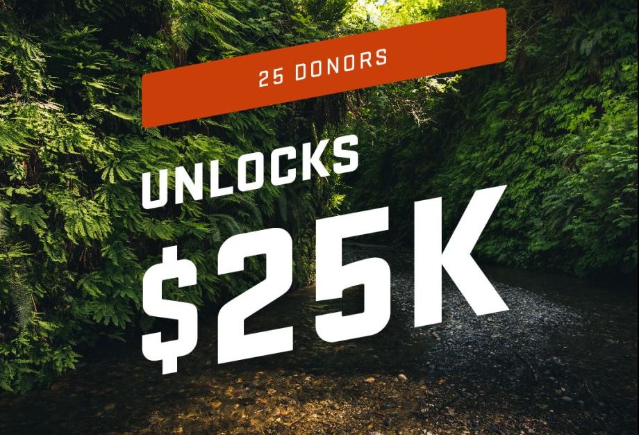We are close to getting this matching gift from Oregon Forest Industries Council, donate now to support College of Forestry scholarships! damproudday.org/organizations/…
#DamProudDay #BeavsGive
