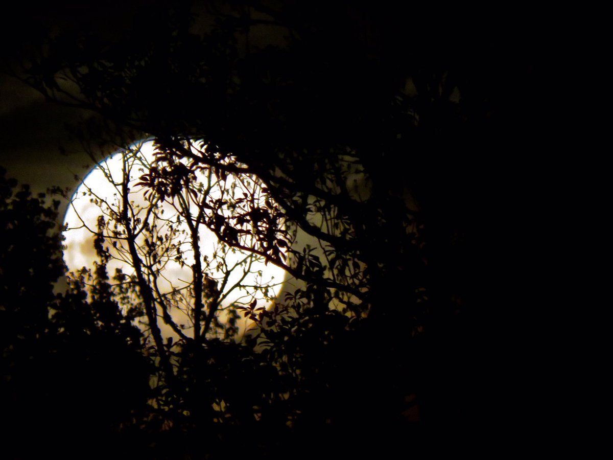 April’s full moon🙋‍♀️