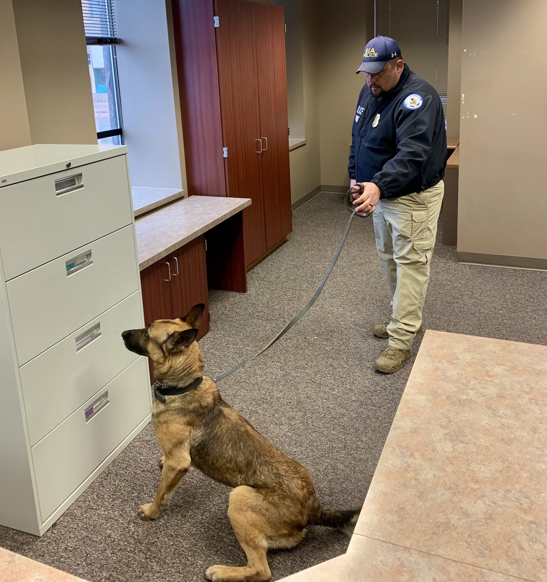 SDHighwayPatrol's tweet photo. Good dogs! 🐕 
The South Dakota Highway Patrol recently held a Narcotics Detector Dog Training Camp in Sioux Falls. Nine Police Service Dog Teams from SDHP, SD sheriff’s offices, BIA, and local tribal police were successfully certified and are ready to report for duty! https://t.co/NJXLU9wnaR