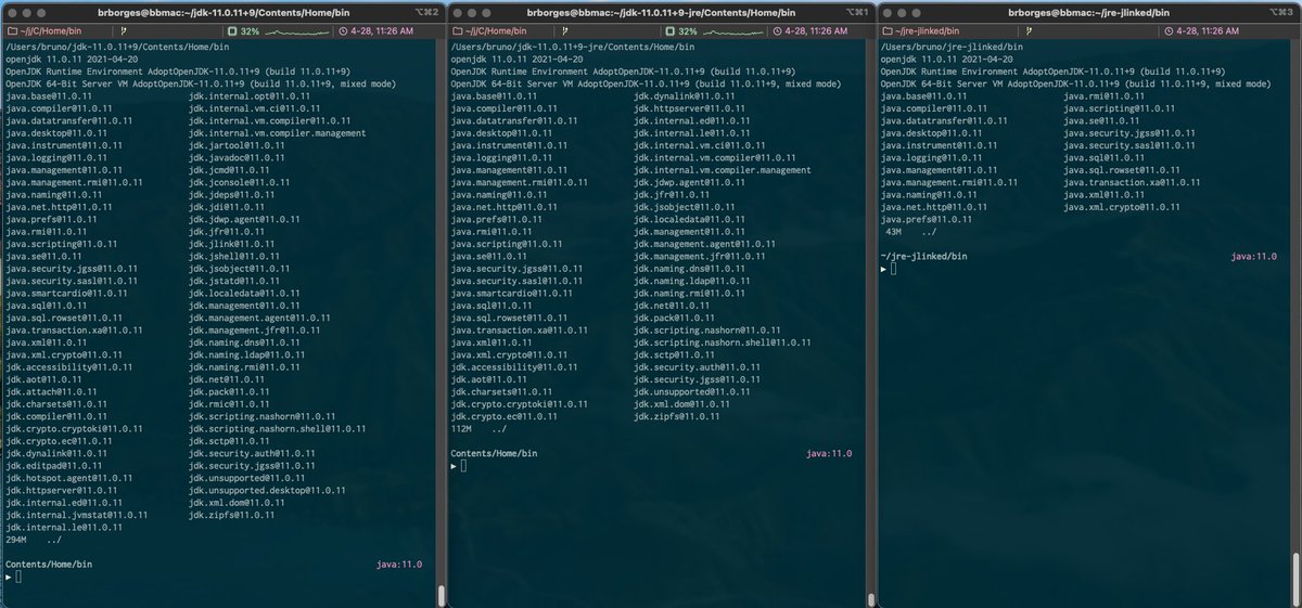 Have you dug into it yet? No? It's ok. Let's move forward. AdoptOpenJDK produces a JRE with modules that you may simply not need.On the left side, you have the JDK, and on the right side, the JRE.The third terminal is a jlinked JRE with ' http://java.se ' module.