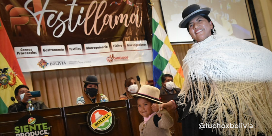 AbyaYalaBolivia's tweet photo. Pdte. @LuchoXBolivia felicitó al "#Festillama" de la Asociación de Productores de Camélidos para la Promoción de Productos Andinos del Departamento de La Paz. "Estas son las iniciativas que impulsan la reactivación económica. ¡Felicidades!”, tuiteó.
#HechoEnBolivia
#AbyaYalaTv https://t.co/FJuNpQOR7i