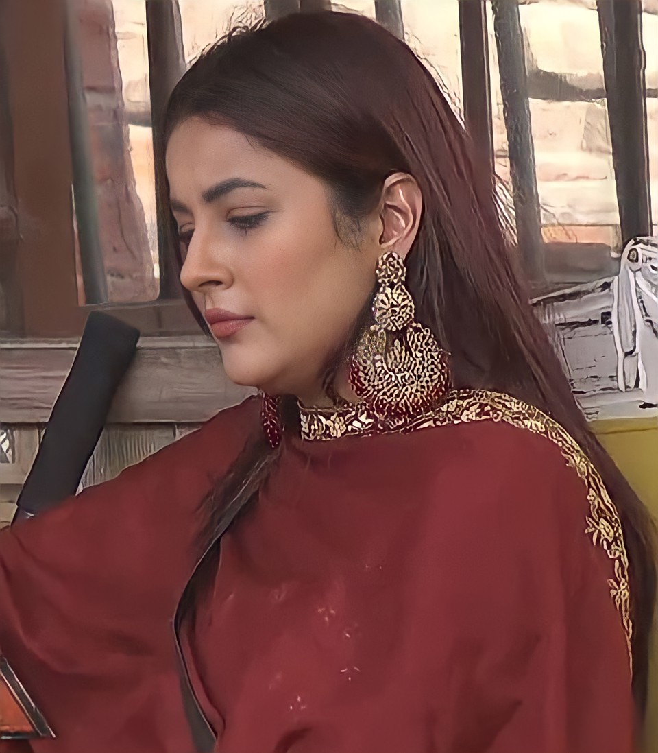 when shehnaaz wears red, I feel like my heart will stop at any moment 