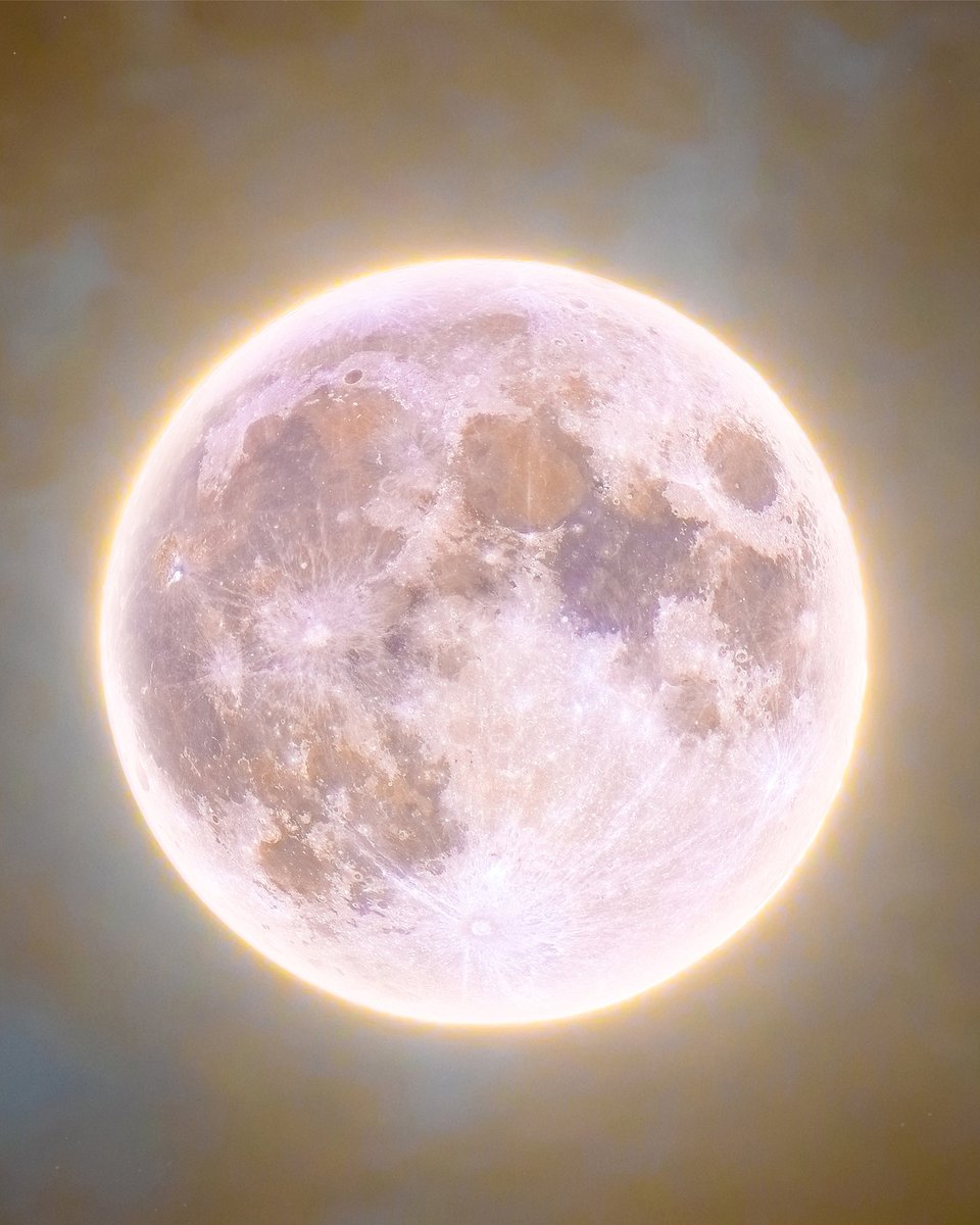 acid666host's tweet photo. super pink moon https://t.co/4CwhBmcpXb