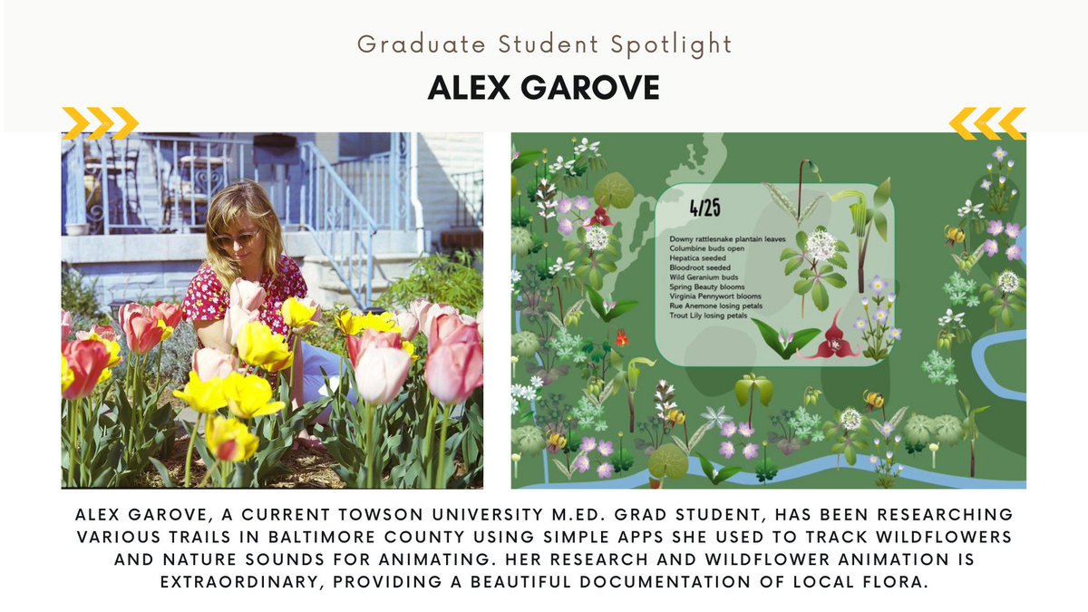 Towson GSA tweet media