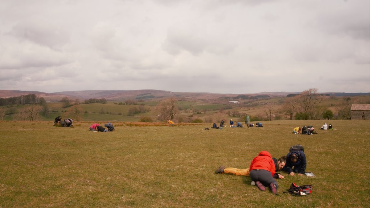 Accompanied the MSc Conservation Management students from Edge Hill University on a field trip to Bell Sykes farm today.

The farm is the site of many SSSI wildflower hay meadows, which are used to restore degraded grasslands within the Forest of Bowland.