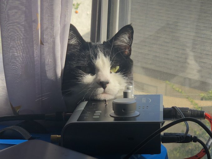 Watch Louie Zong (on bluesky now)'s leaked NSFW photo on TwXstars