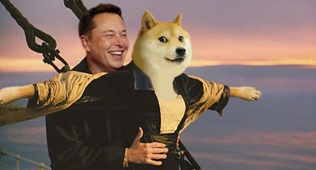 MyceWindoo's tweet photo. Elon, paint me like one of your French girls... https://t.co/4rlYJMTj57