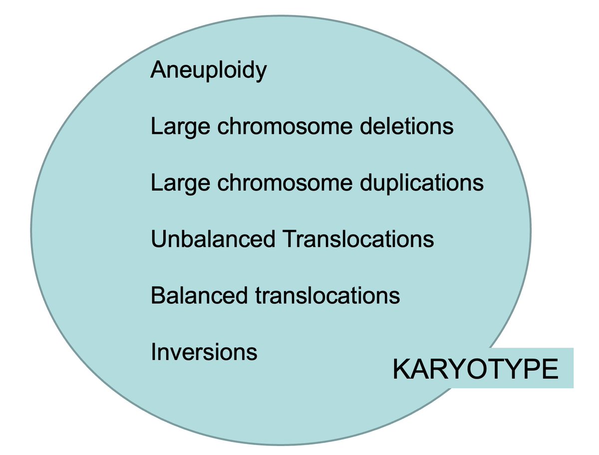 1. KaryotypeThis is a really good test for looking at chromosome number, large changes to the chromosomes, and its structure. But it's not really good at looking at the chromosomes in fine detail. That's why we rarely use the test anymore. We have better tests now.