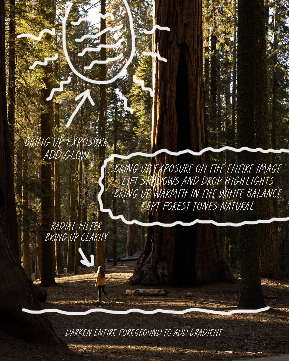 inthemeadow's tweet photo. The edit                   //                 The shot https://t.co/seW91j3OEM