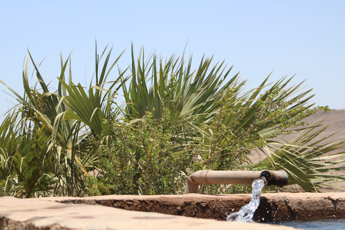 houstotei's tweet photo. L’appui à l’eau à travers des forages, de l’énergie avec des panneaux solaires, des serres, la communauté pastorale à #Djibouti en est bénéficiaire dont le but de renforcer les moyens de subsistance #sightbyside
@UEaDjibouti @EU_Partnerships https://t.co/FVwiBKsvih