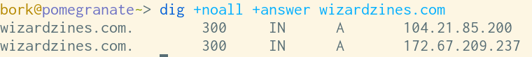 b0rk's tweet photo. i finally learned how to run dig to get just the information I want and nothing else: `dig +noall +answer DOMAIN`!

(I like this more than dig +short because I like to see the TTL and record type) https://t.co/TcI9zavkct