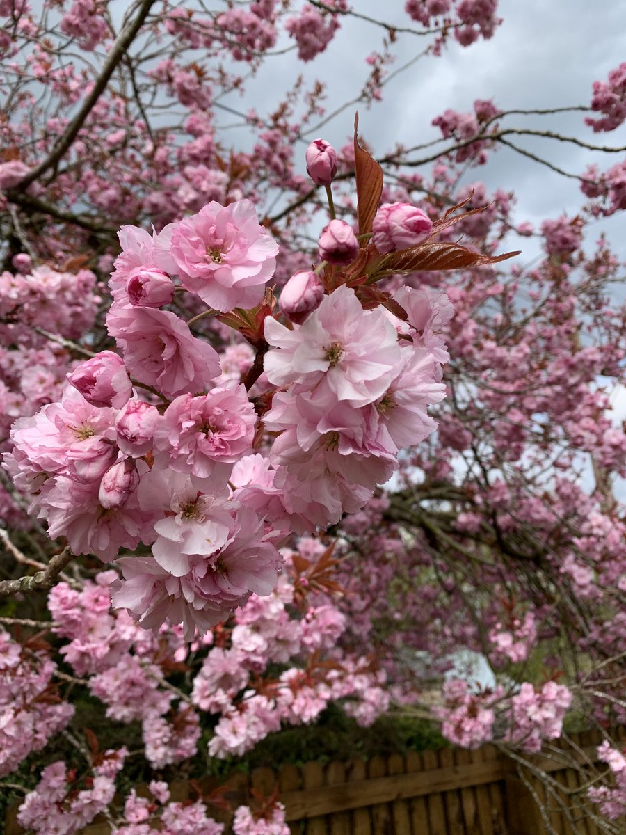 Sara Marshall tweet media