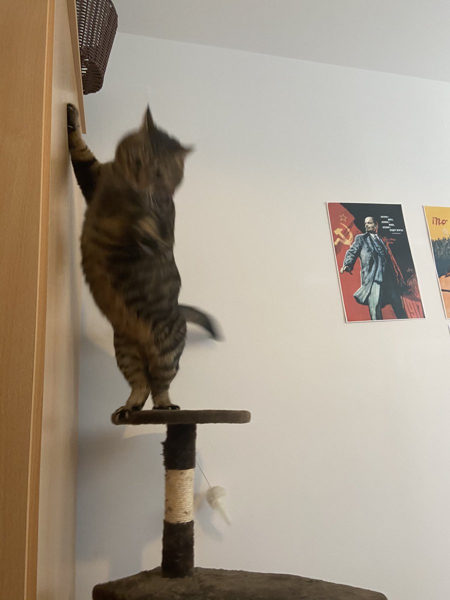 Falling! ❤️🐻❤️🐻