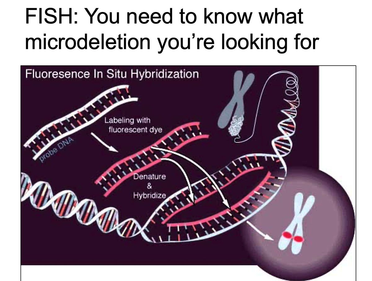 2. FISH (Fluorescence In Situ Hybridization)There are chromosome deletions and dups that are too small to be seen on karyotype (microdeletion/microdup). That's when you can use FISH! But you need to know exactly the region you're interested in (eg. 22q.11 FISH for Digeorge).