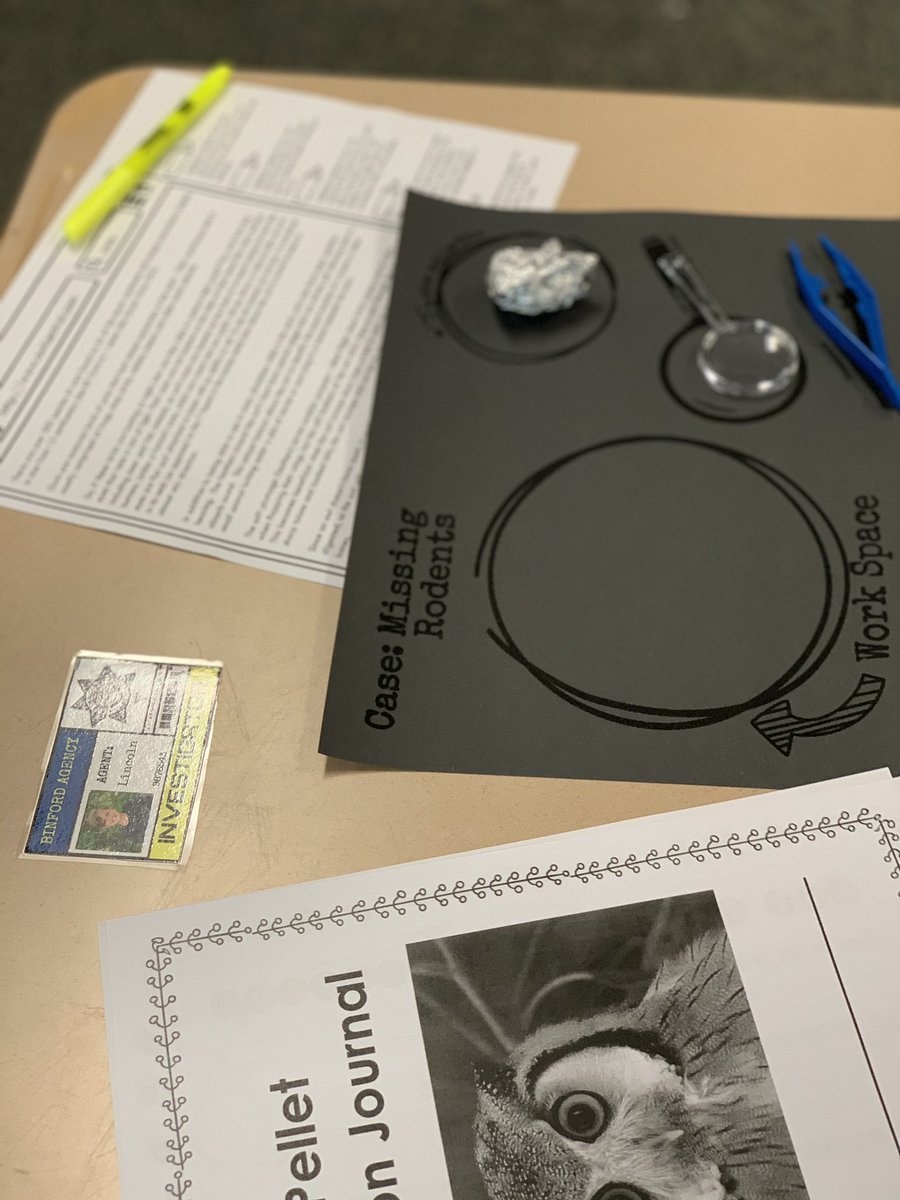 cappy812's tweet photo. These curious investigators figured out what the owls had eaten by dissecting their pellets. We’ve learned how important owls are to our ecosystem🦉 @BinfordBadgers @MCCSC_EDU @RogBinPTO @WBU_Inc @CornellBirds https://t.co/Y6qlcrxggF