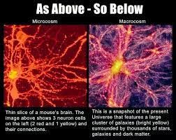 The picture below depicts part of a mouse brain on the left and a simulated model of the universe on the right. I don’t know about you, but these images look strikingly similar at first glance. And maybe that’s not a coincidence.